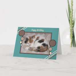 Calico猫が丸まって眠っているフォトブラウンターコイズ カード