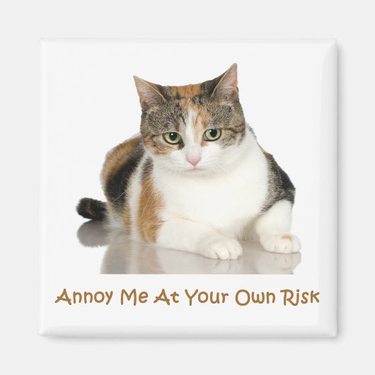 Calico Cat:自分の責任で困らせる マグネット (正面)