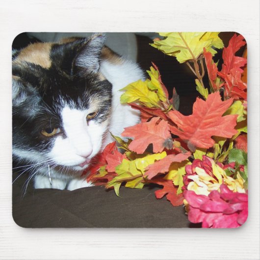 Calico Cat Autumn Fall Leaves Mousepad マウスパッド (正面)