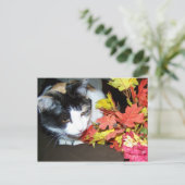 Calico Cat Autumn Postcard ポストカード (スタンド正面)