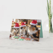 Calico Cat Christmas Cookie Card カード (正面)