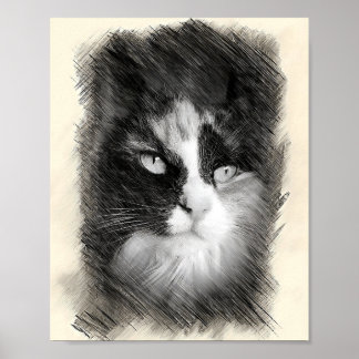 Calico Cat Sketch Art - Feline Portrait Drawing ポスター