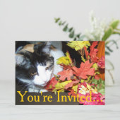 Calico Cat Thanksgiving Intitation For Dinner 招待状 (スタンド正面)