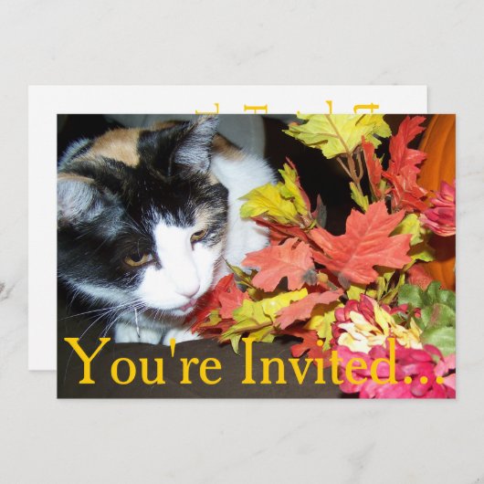 Calico Cat Thanksgiving Intitation For Dinner 招待状 (正面/裏面)