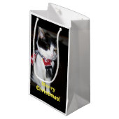 Calico Cat Wearing Scarf Gift Bag スモールペーパーバッグ (正面アングル)