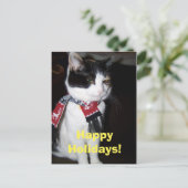 Calico Cat Wearing Scarf Happy Halidays Postcard シーズンポストカード (スタンド正面)
