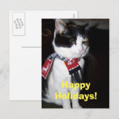 Calico Cat Wearing Scarf Happy Halidays Postcard シーズンポストカード (正面/裏面)