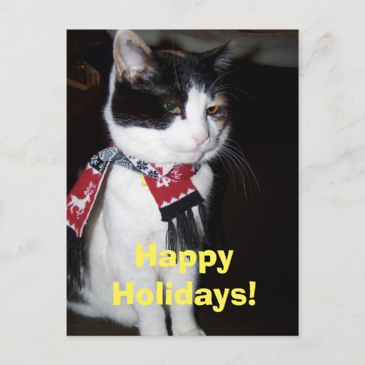 Calico Cat Wearing Scarf Happy Halidays Postcard シーズンポストカード (正面)