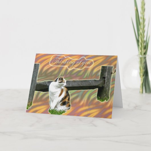 Calico Kitty Cat 考え's of Youカード カード (正面)