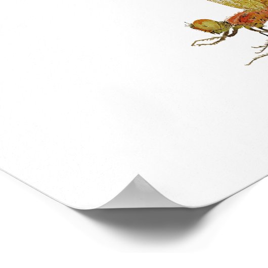 Calico Pennant Dragonfly Art Poster ポスター (角)