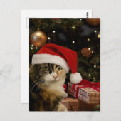 Calico Santa Kitty Postcard ポストカード (正面/裏面)