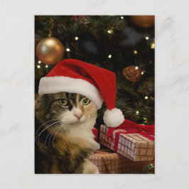 Calico Santa Kitty Postcard ポストカード