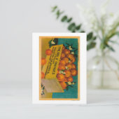 California, Box of OrangeState ポストカード (スタンド正面)