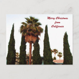 CALIFORNIA CHRISTMAS GREETINGはがき シーズンポストカード