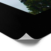 CALIFORNIA PALMポスター ポスター (角)