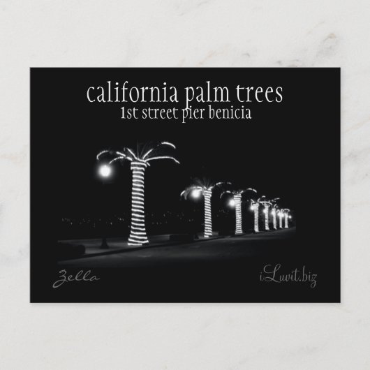 CALIFORNIA PALM TREES by Luvit.biz – はがき (正面)