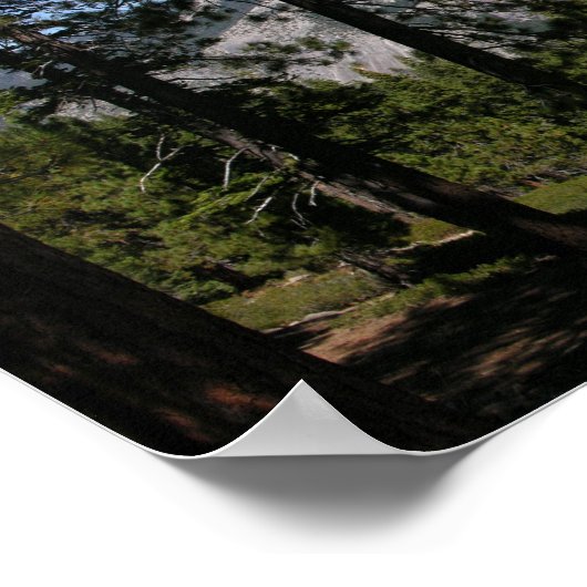 California Panoramic 5 ポスター (角)