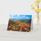 California Poppies Covering a Hillside カード (黄色い花)