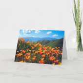 California Poppies Covering a Hillside カード (正面)