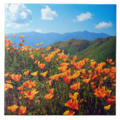 California Poppies Covering a Hillside タイル (正面)