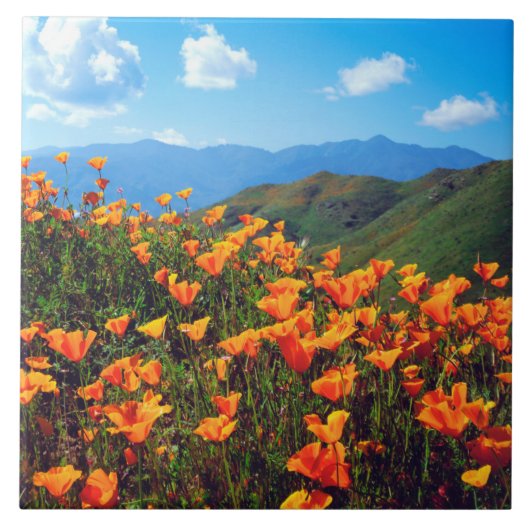 California Poppies Covering a Hillside タイル (正面)