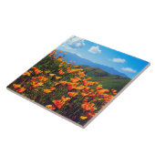 California Poppies Covering a Hillside タイル (側面)