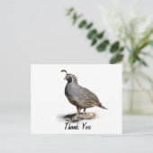 CALIFORNIA QUAIL – ありがとう ポストカード (スタンド正面)