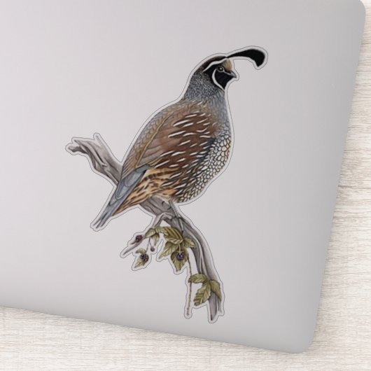 California quail シール (詳細)