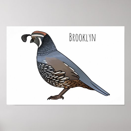 California quail bird cartoon illustration  ポスター (正面)