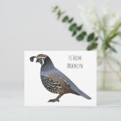 California quail bird cartoon illustration ポストカード (スタンド正面)