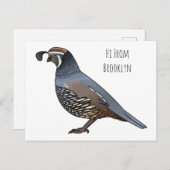 California quail bird cartoon illustration ポストカード (正面/裏面)