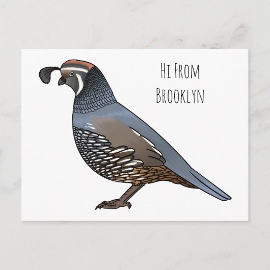 California quail bird cartoon illustration ポストカード (正面)