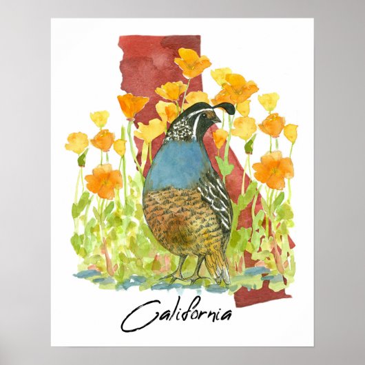 California Quail Bird Poppies State Shape ポスター (正面)