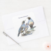 California Quail Birds本書は蔵書票 スクエアシール (封筒)