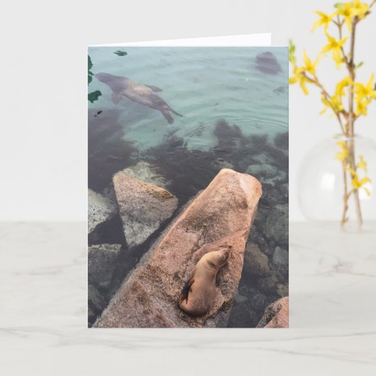 california sea life greeting card (blank inside) カード (黄色い花)