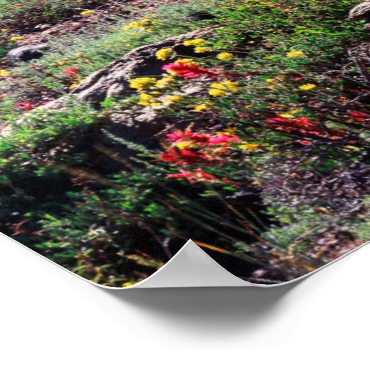 California, Sierra Nevada Mountains 1 ポスター (角)