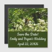 California Sister Butterfly in Yosemite (正面/裏面)