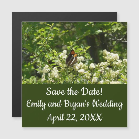 California Sister Butterfly in Yosemite (正面/裏面)