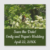 California Sister Butterfly in Yosemite (正面)