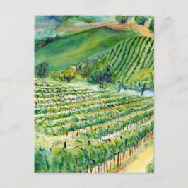 California Vineyard Postcard ポストカード