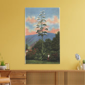 CaliforniaCentury Plant in開花 キャンバスプリント (インサイチュ (リビング))