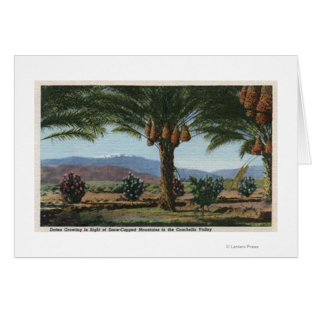 CaliforniaDates Growing in the Coachella (正面横)