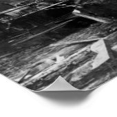 CaliforniaMan Posing by Cut Redwood Log ポスター (角)