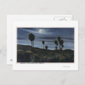 CaliforniaMoonlit View at Twenty-Nine Palms ポストカード (正面/裏面)