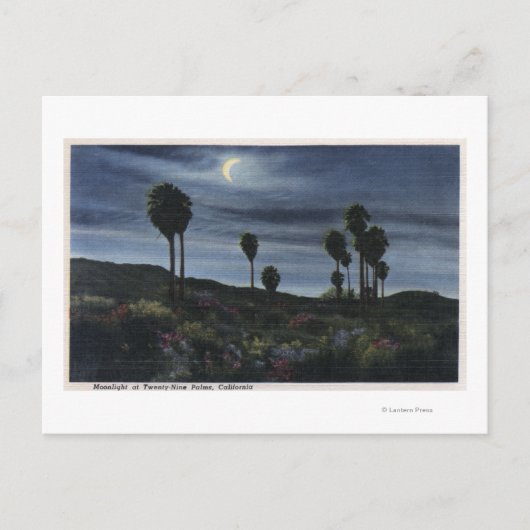 CaliforniaMoonlit View at Twenty-Nine Palms ポストカード (正面)