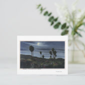 CaliforniaMoonlit View at Twenty-Nine Palms ポストカード (スタンド正面)