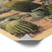 CaliforniaVariables of Desert Cacti ポスター (角)