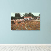 CaliforniaView of Peaches Drying in the Sun キャンバスプリント (インサイチュ (ウッドフロア))