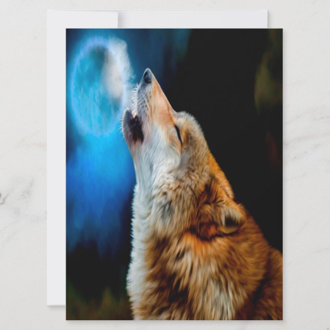 Call of the Wild (正面)