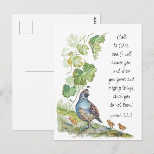 Call to Me Scripture Inspiration California Quail ポストカード (正面/裏面)